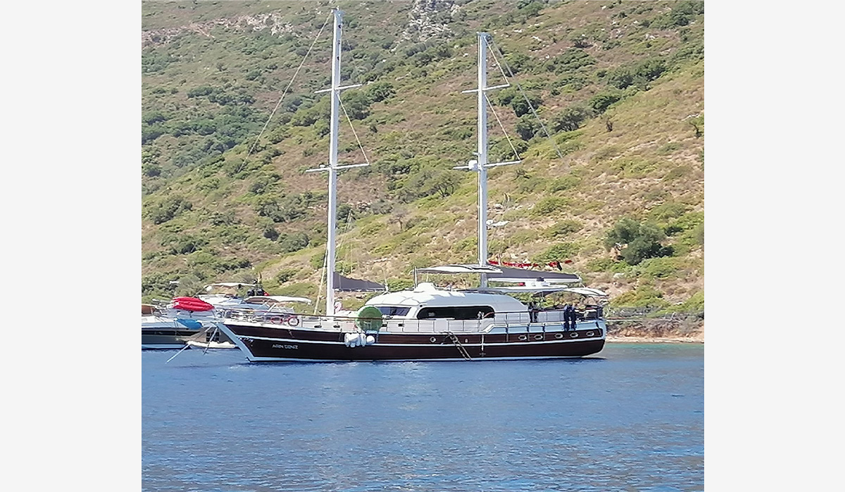 Arın Deniz Ana resim