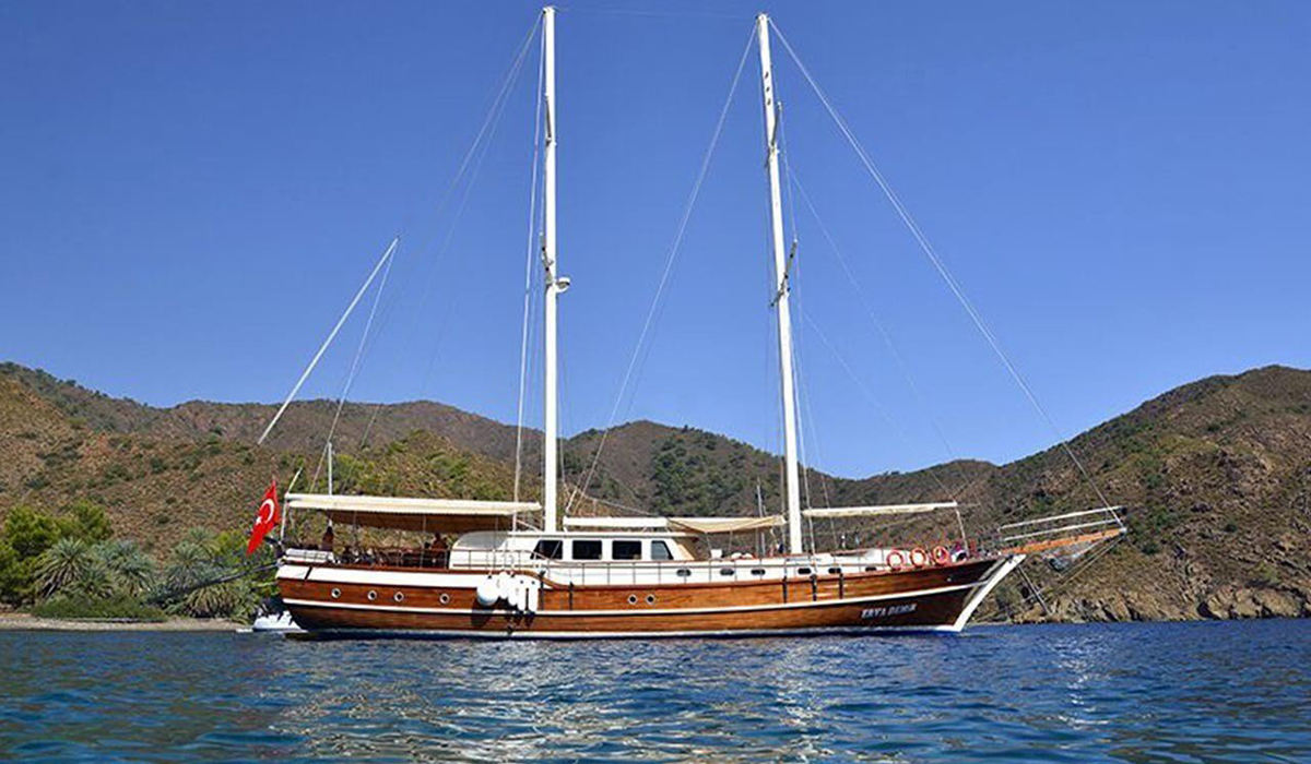 Main Photo of Erva Demir