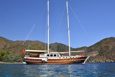 Erva Demir Photo 1